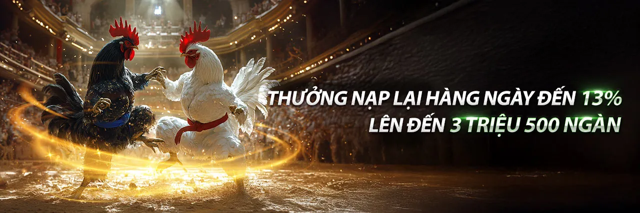 Đá Gà Trực Tuyến ken88 win 2026