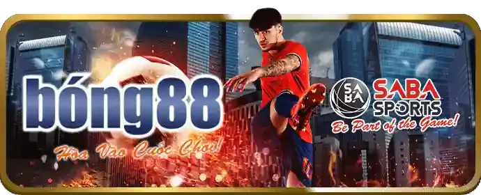 Tin Tức Thể Thao ken88 win